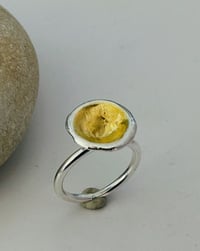 Image 1 of Aurora Ring Sterling Silver 24ct Gold