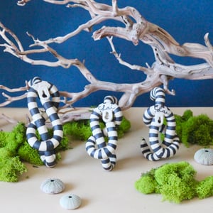 Image of Banded sea krait wall hooks