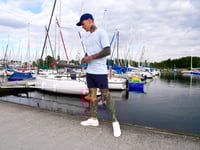 Image 5 of INCOGNITA SHORTS Navy