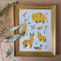 Image 2 of Great Plains Animals Drawings & Prints