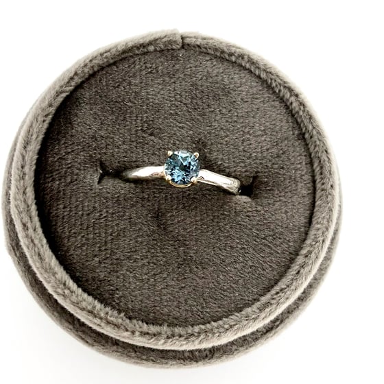 Image of Montana sapphire engagement ring with twig band