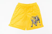 Image of GOLD x Champion Mesh Shorts | [Limited]