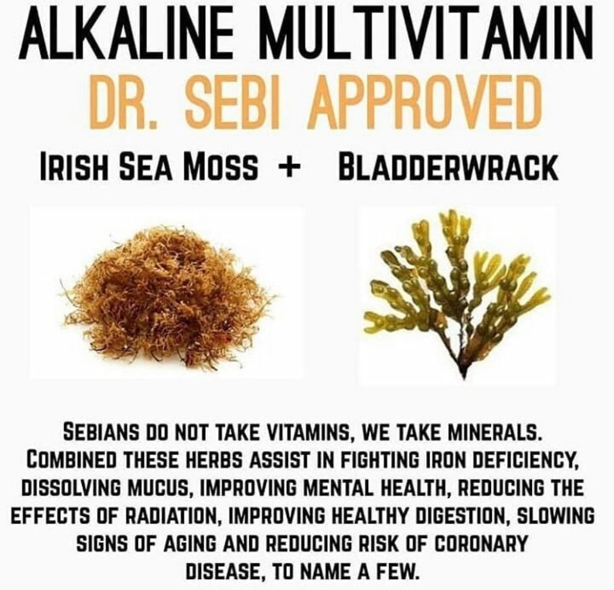 Image of Sea moss & bladderwrack herbal drops 