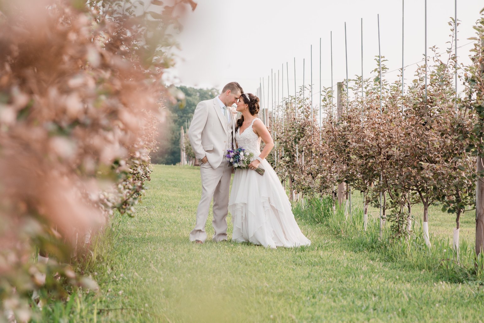 Image of 6 hour Wedding Day