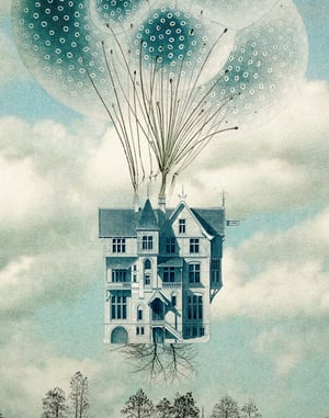 Image of Raíces y Globos