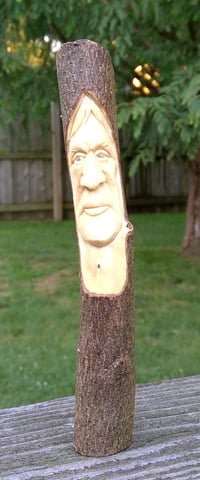 Kousa Dogwood Man