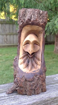 Image 1 of Stylized Bird Face