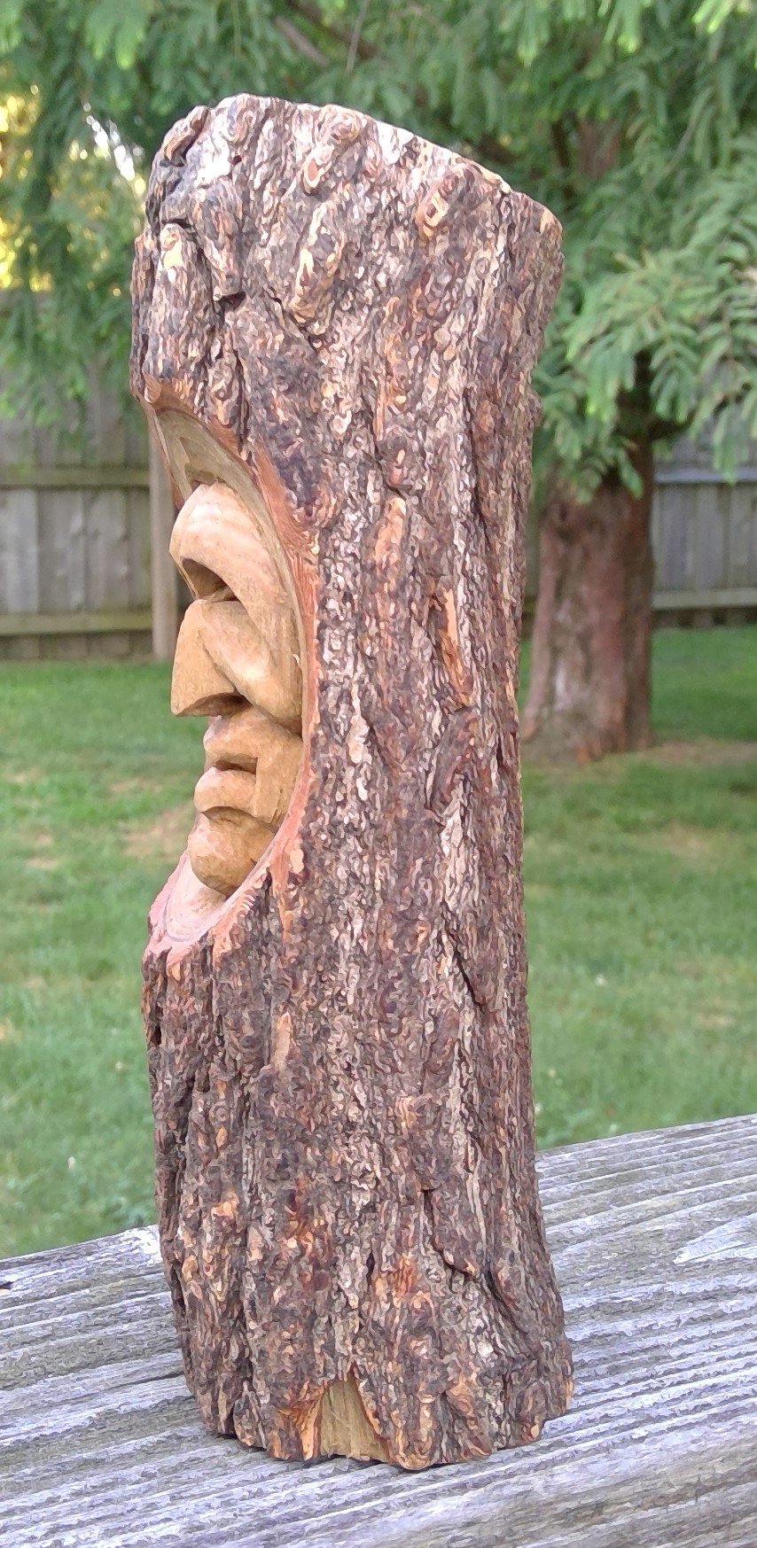 Image of Stylized Tree Face