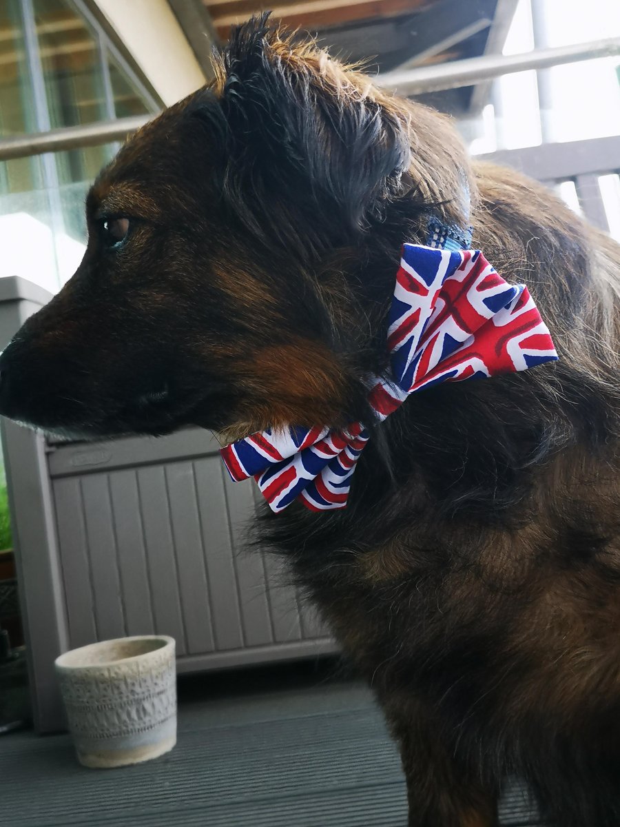 union jack bowtie