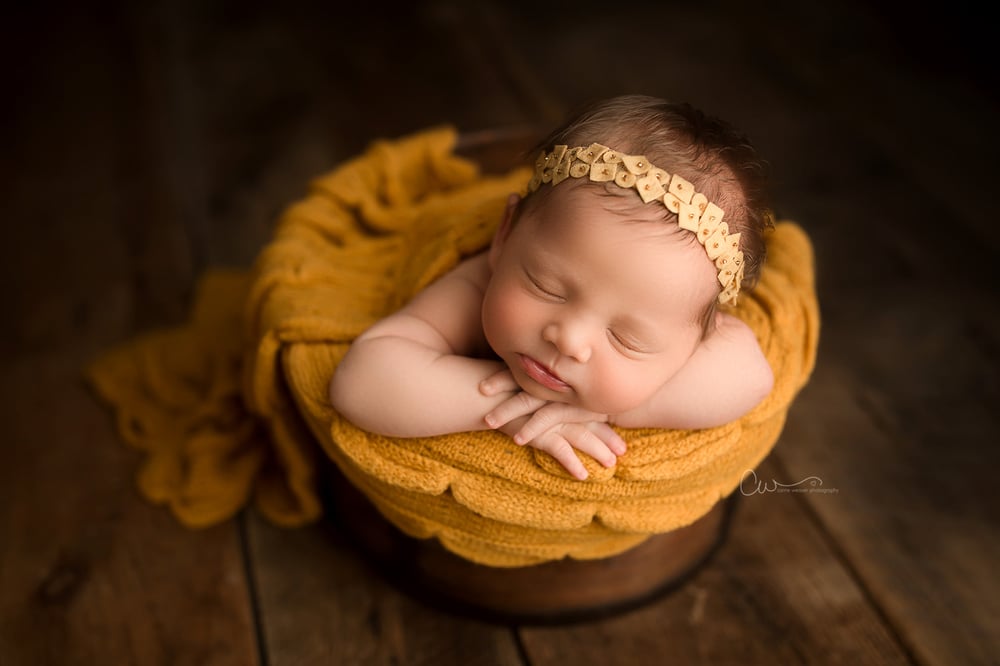 Image of Amara Headband - 4 colors