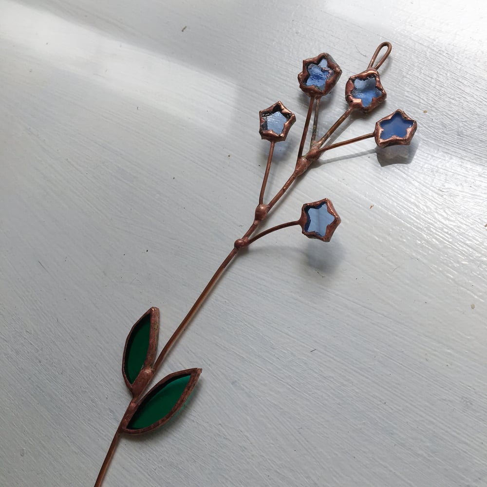 Image of Forget-Me-Not Posie no.2