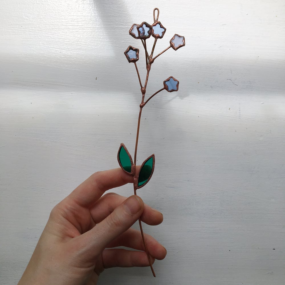 Image of Forget-Me-Not Posie no.2
