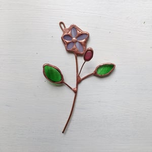 Image of Apple Blossom Stem no.2