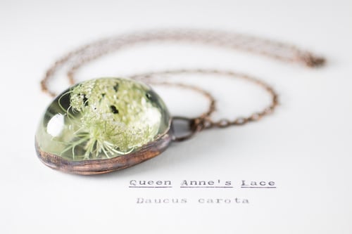 Image of Queen Anne's Lace (Daucus carota) - Copper Plated Necklace #1