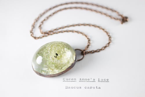 Image of Queen Anne's Lace (Daucus carota) - Copper Plated Necklace #1