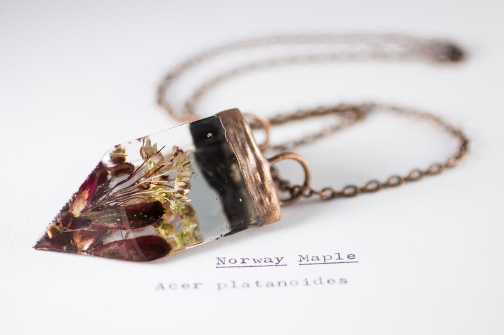Image of Norway Maple (Acer platanoides) - Small Copper Prism Necklace #1