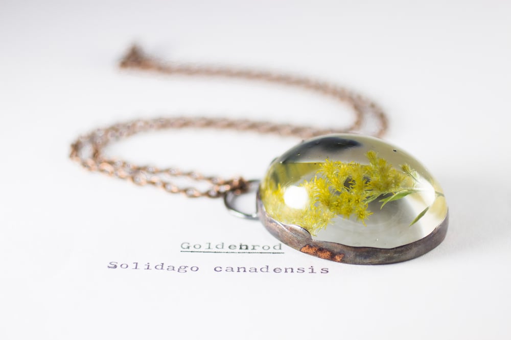 Image of Goldenrod (Solidago canadensis) - Copper Plated Necklace #1