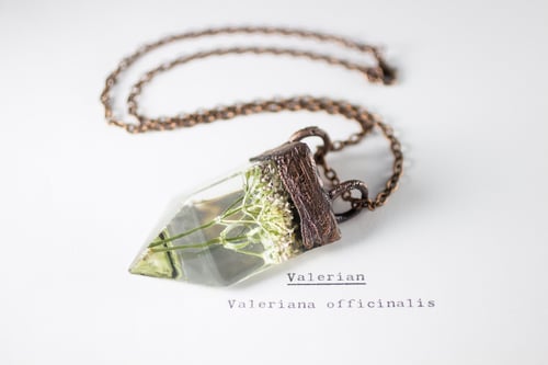 Image of Valerian (Valeriana officinalis) - Small Copper Prism Necklace #3