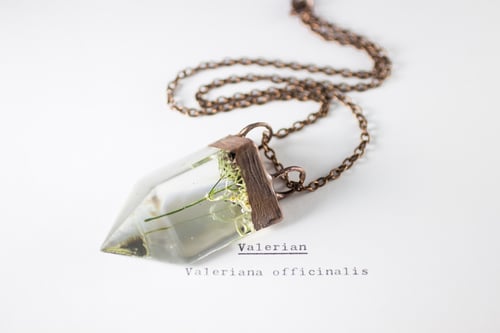 Image of Valerian (Valeriana officinalis) - Small Copper Prism Necklace #4