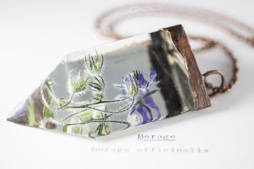 Image of Borage (Borago officinalis) - Chunky Copper Prism Statement Piece #2