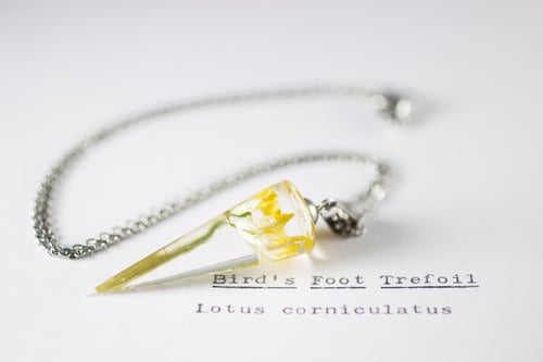 Image of Bird's Foot Trefoil (Lotus corniculatus) - Conical Pendant #1