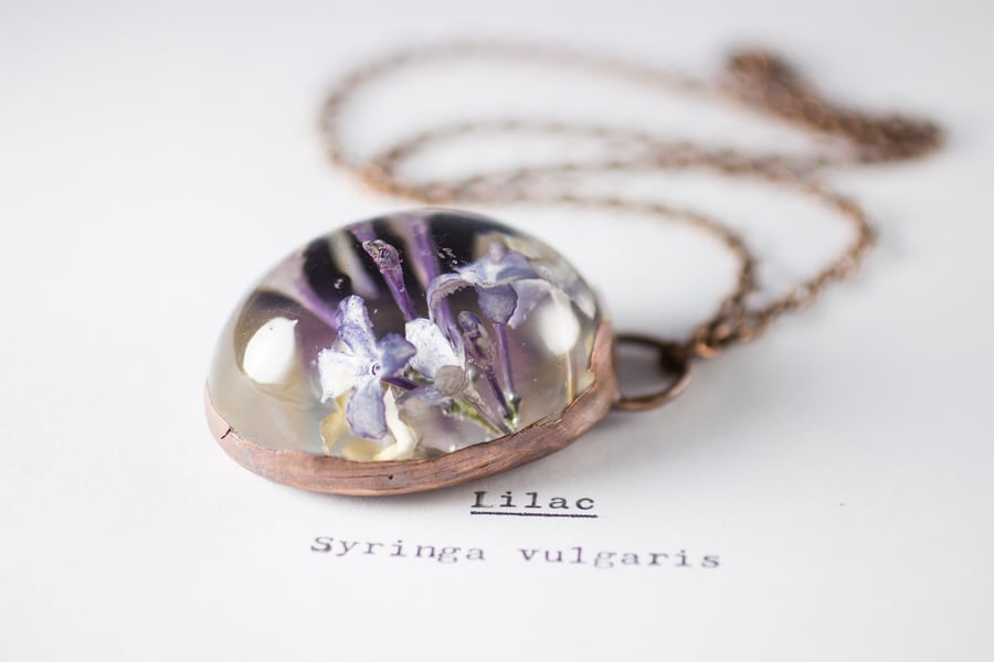 Image of Lilac (Syringa vulgaris) - Copper Plated Necklace #4