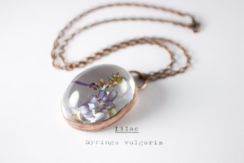 Image of Lilac (Syringa vulgaris) - Copper Plated Necklace #7