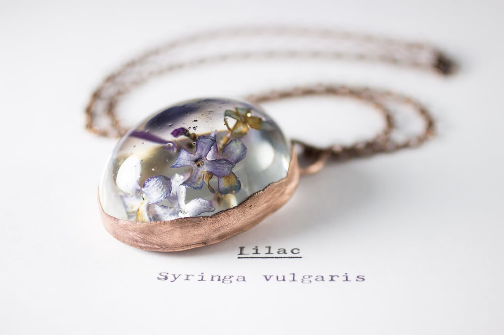 Image of Lilac (Syringa vulgaris) - Copper Plated Necklace #7