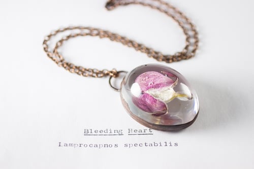 Image of Bleeding Heart (Lamprocapnos spectabilis) - Copper Plated Necklace #1