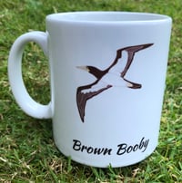 Brown Booby Mug