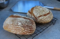 Image 3 of The Sourdough Kit + tutorial