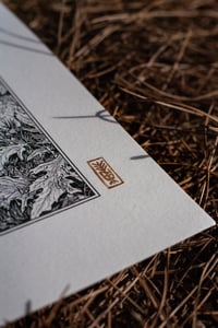 Image 3 of Orange Juice Ritual · Print