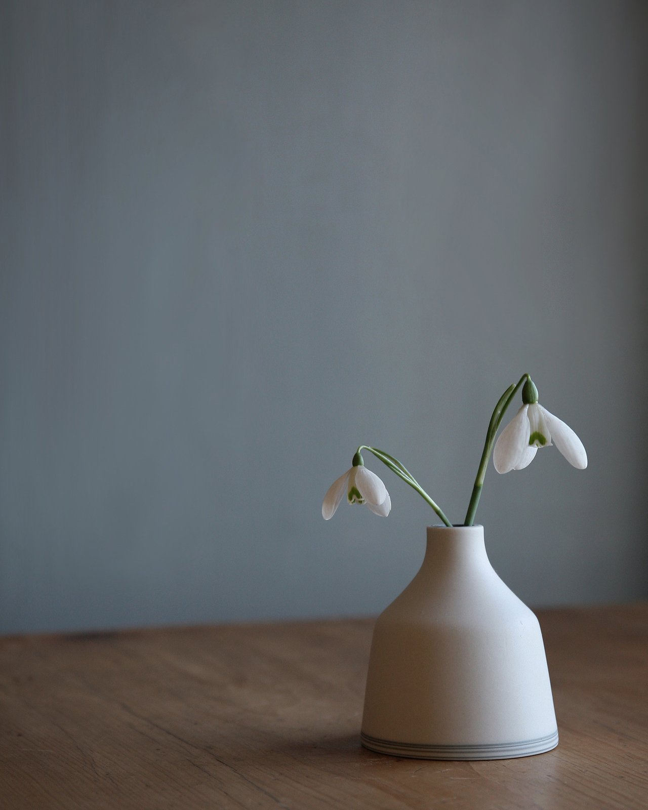 Small white bud vase, with layered base. Jill Shaddock Ceramics