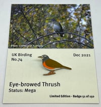 Image 1 of Eye-browed Thrush - December 2021 - UK Birding Pins - Enamel Pin Badge