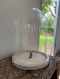 Image 2 of Glass Dome  on Whitewashed Wood Base