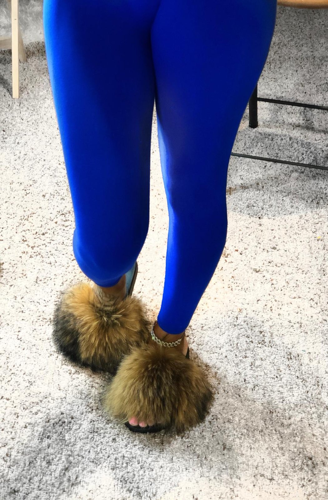 raccoon slides