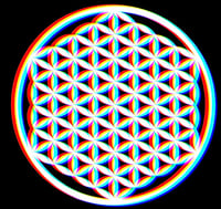 Image 3 of 3D Flower of Life Tees 