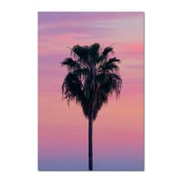 Image 1 of PINK PALM
