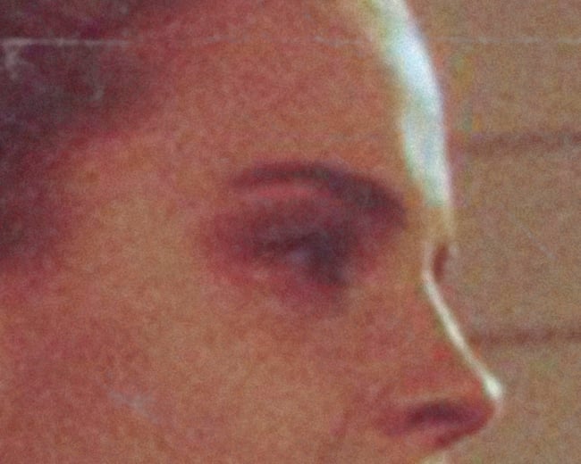 THE PERKS OF BEING A WALLFLOWER #1