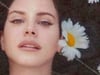 LANA DEL REY #5