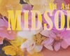 MIDSOMMAR #1