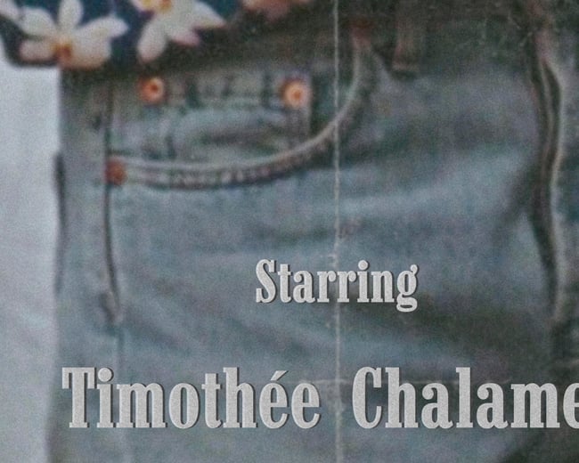 CALL ME BY YOUR NAME #2 *TIMOTHÉE CHALAMET*