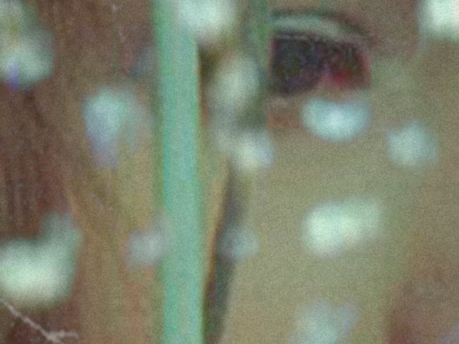 VALERIE AND HER WEEK OF WONDERS #1 | Valerie a týden divů