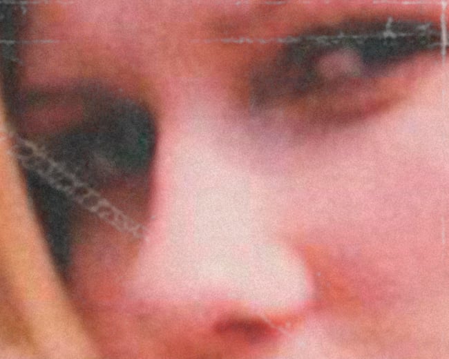 THE VIRGIN SUICIDES #1