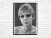 EDIE SEDGWICK