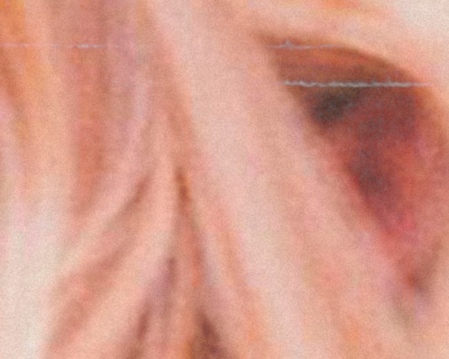 THE VIRGIN SUICIDES #1