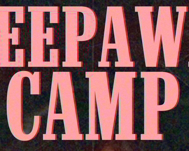 SLEEPAWAY CAMP