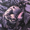 Gargoyles 