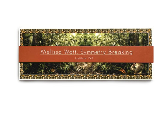 Image of Melissa Watt: Symmetry Breaking Postcard Set