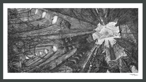 Image of OUTER ISOLATION POSTER PRINT